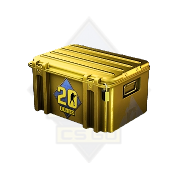 Кейс CS20